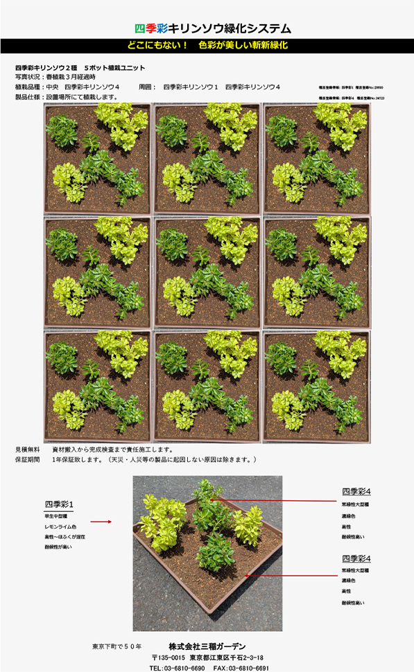 キリンソウ緑化工事PDF