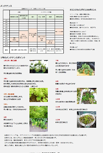 四季彩キリンソウ緑化システム仕様書